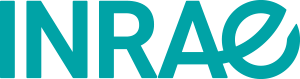 DSI logo
